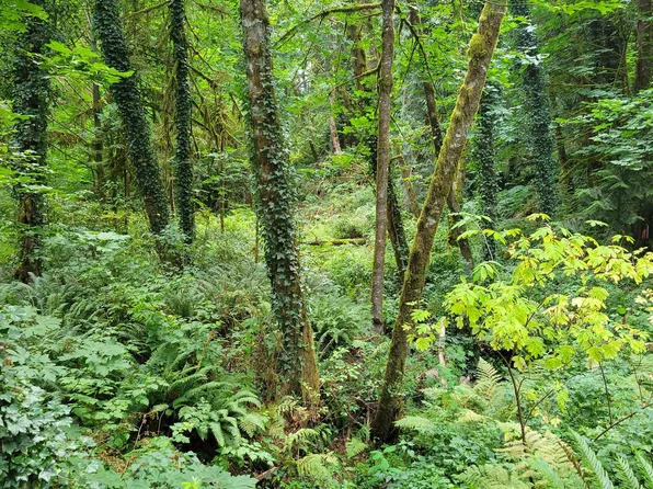 Coal Creek Rd, Scappoose, OR 97056