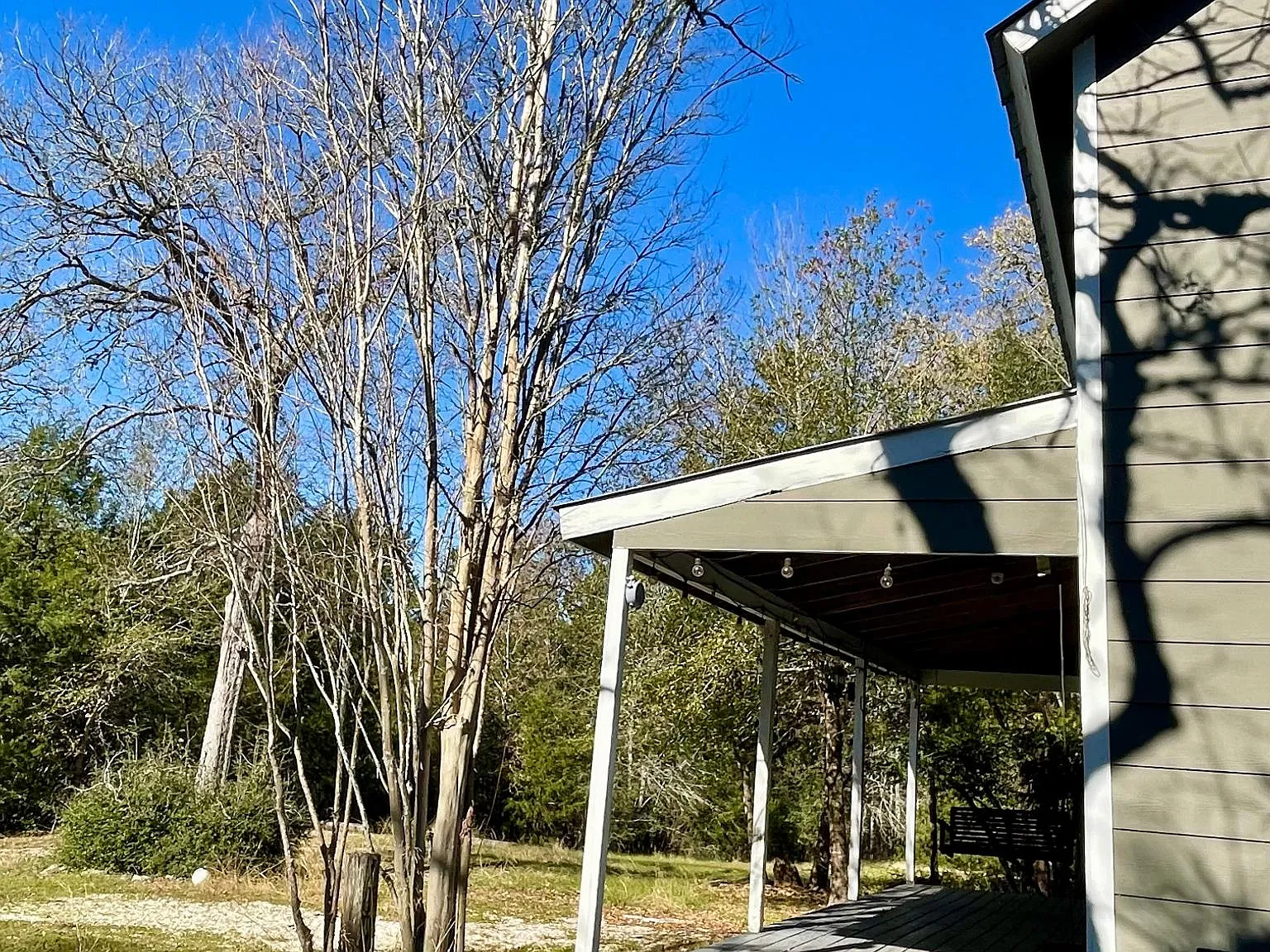 2 bed, 794 sqft, $1,250 — Photo 3