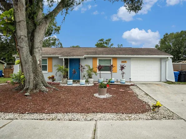 3612 Patina Dr, Tampa, FL 33619