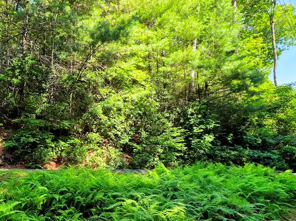 Lt 201 Wild Berry Court, Sapphire, NC 28774