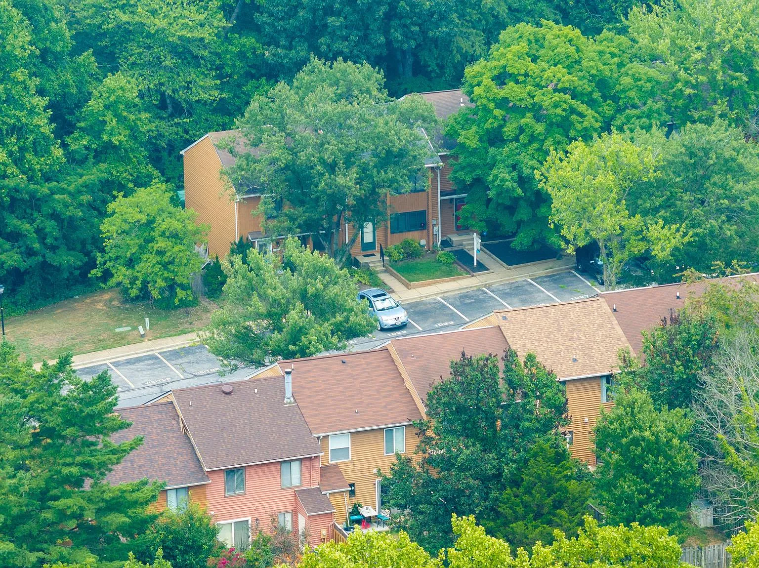 3 bed, 3.5 bath, 1792 sqft, $3,150 — Photo 4