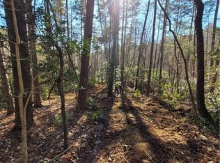 LOT 10 Etowah Dr, Dahlonega, GA 30533