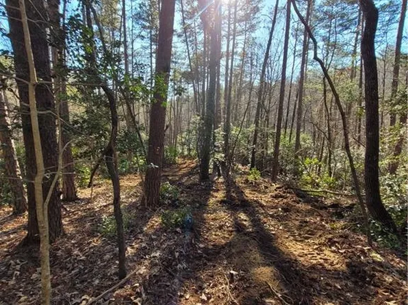 LOT 10 Etowah Dr, Dahlonega, GA 30533