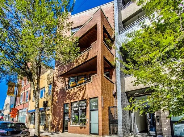 1526 W Chicago Ave APT 2, Chicago, IL 60642