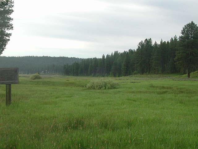 2nd image of TRACT 12 & #13