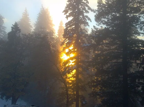 36100 Foresthill Rd, Foresthill, CA 95631