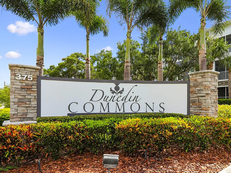 Dunedin Commons Apartments — Photo 25