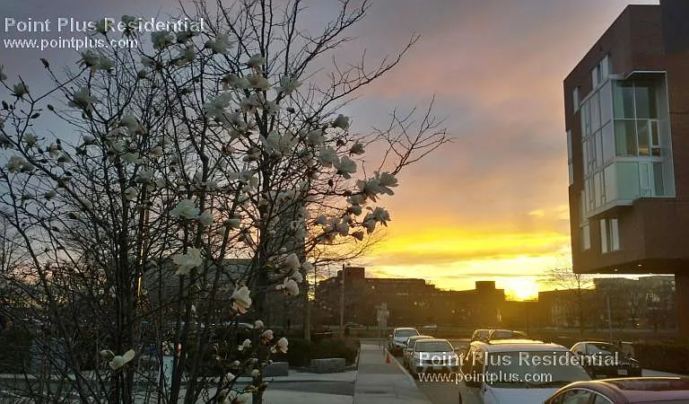26 Hingham St #2 — Photo 13