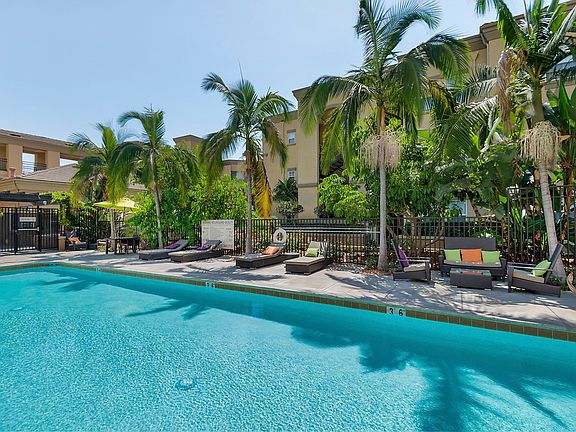 Outdoor swimming pool area with sundeck and lounge seating surrounded by palm trees.