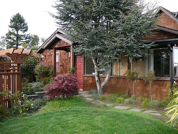 View from the Front Yard