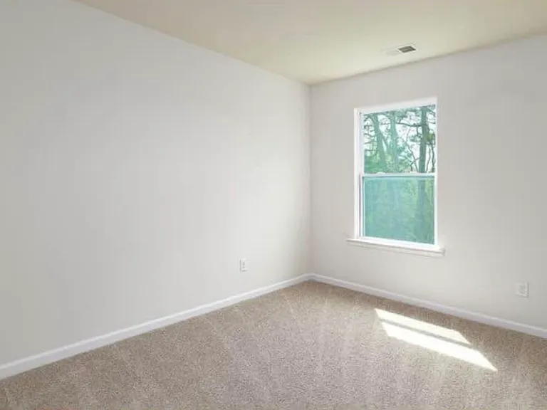 103 Mable Leaf Ln — Photo 11