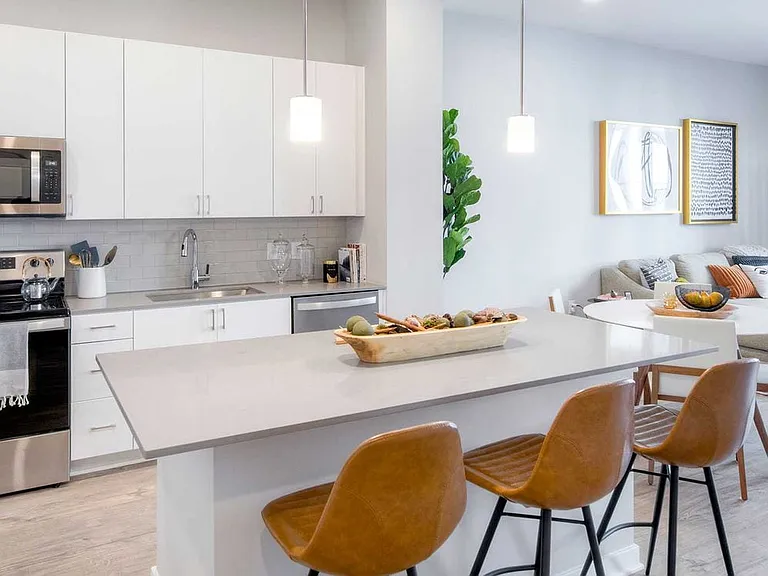Scheme 1 Kitchen and Living Area