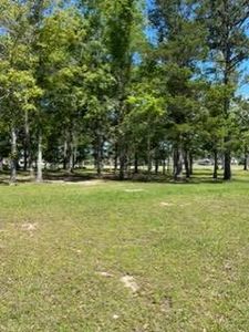 30663 Wild Iris Way, Springfield, LA, 70462