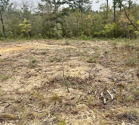 4th image of 0 Ardenwood Dr
