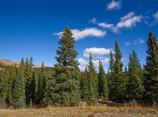 199 Zinc Rd #1, Alma, CO 80420