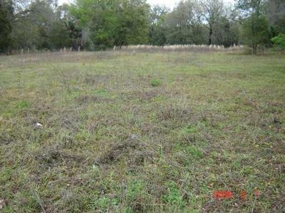 Riordan Rd, Eustis, FL, 32736