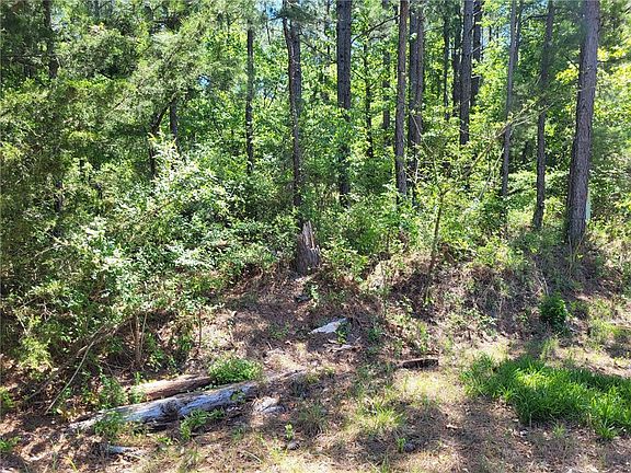5th image of 2665 54th Ave SW