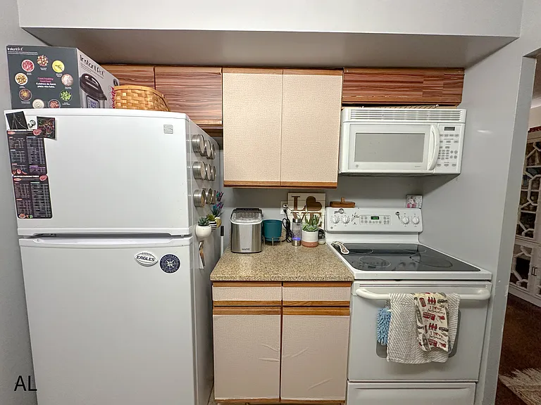 530 S 2nd St #534 — Photo 7