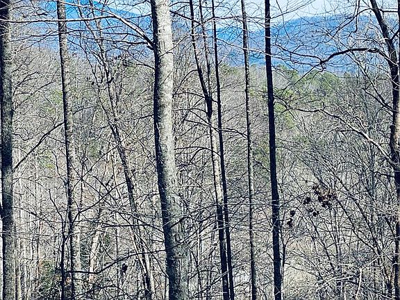 4th image of 200 November Dr Lot 7