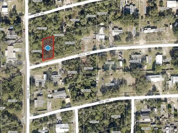 Lots 35 & 36 Luella Ave Lot 35, Paisley, FL 32767