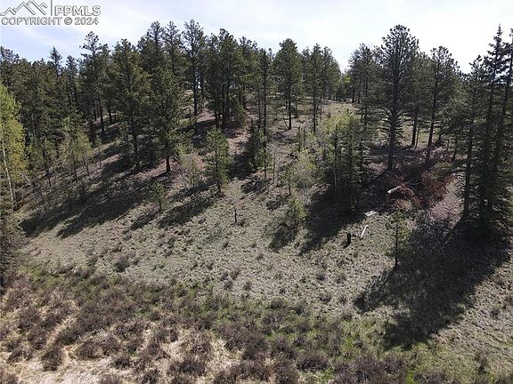2nd image of 79 Trout Creek Cir