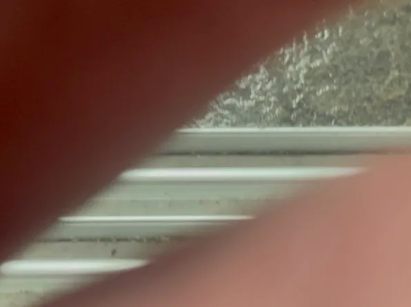 276 Duncan Avenue image 2 of 15