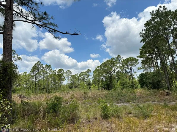 1008 Norwood St, Lake Placid, FL 33852