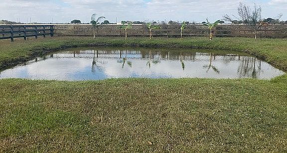 Pond, ready to be stocked