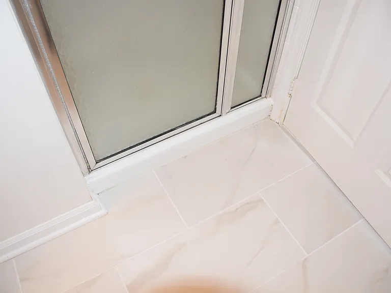 Master bathroom shower