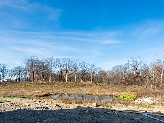 View of Backyard
