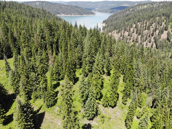 Tbd Indian Crk, Orofino, ID 83544