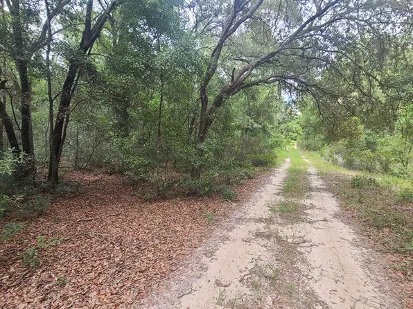 TBD NE 81st St, Bronson, FL 32621