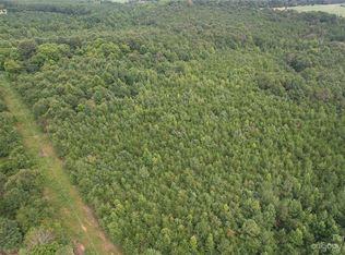 0 Old Hollis Rd TRACT A, Ellenboro, NC 28040