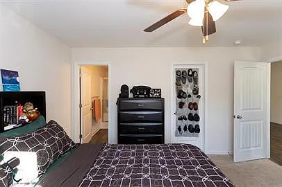 415 Conifer St — Photo 17