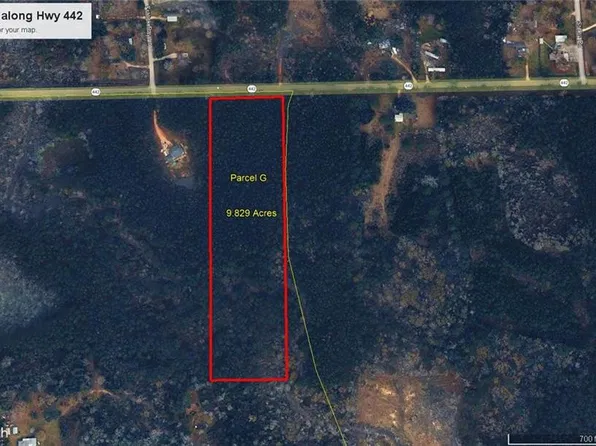 Highway 442, Albany, LA 70711