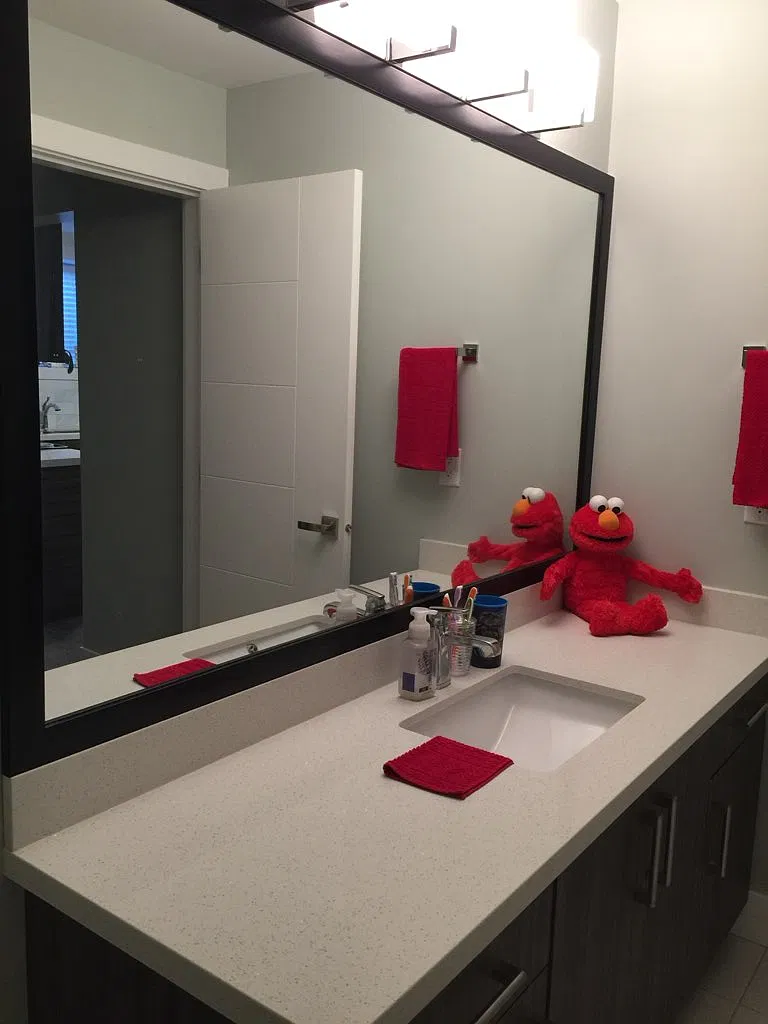 1 bed, 1.0 bath, 600 sqft, $1,495 — Photo 4