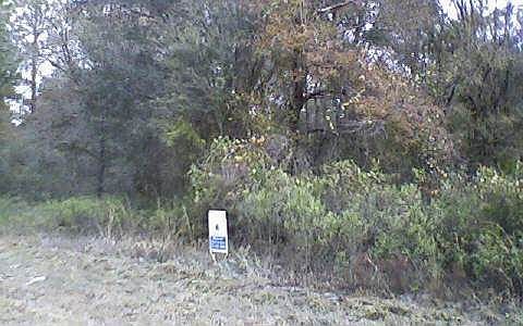 1st image of 10550 Yeager Ave
