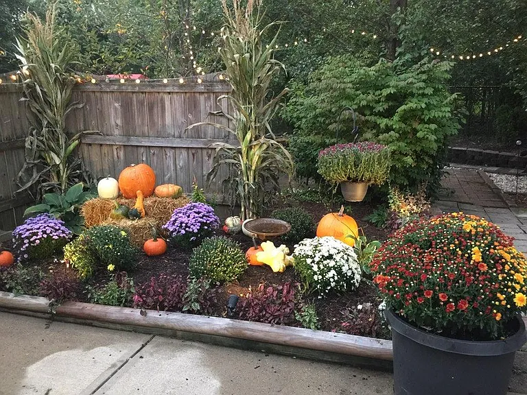 Vibrant Fall Colors in Back Gardens