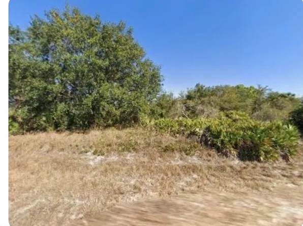 1316 Poinsettia Ave, Lehigh Acres, FL 33972