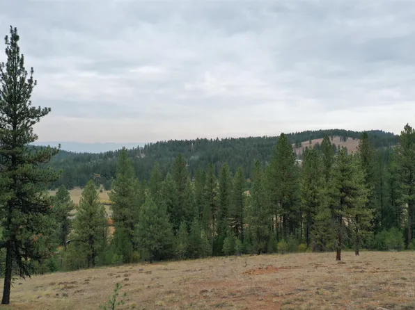 LOT 20 Tamarack View Dr, New Meadows, ID 83654