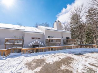 11C Snowtree Ln, West Dover, VT 05356