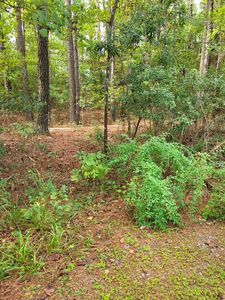 21 Wildwood Ln, Elloree, SC, 29047