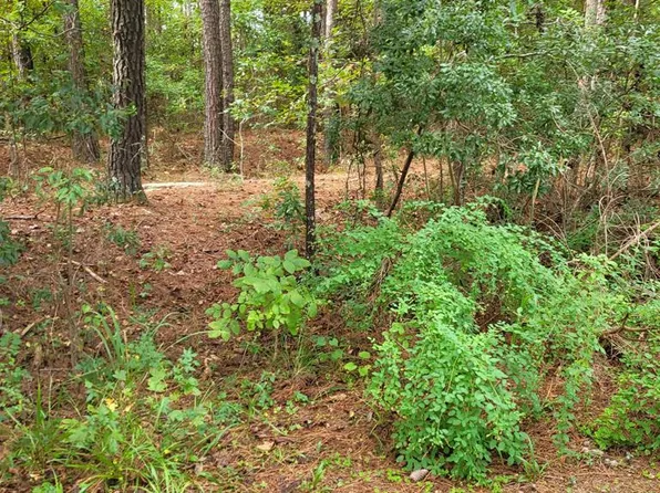 21 Wildwood Ln, Elloree, SC 29047