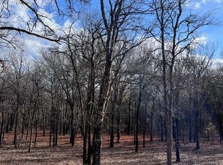 450 Ranchview Ct, Bowie, TX 76230