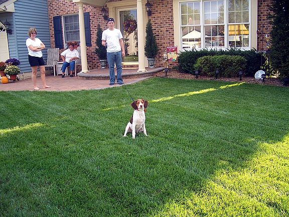 Front Lawn my pride