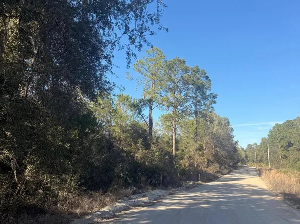 ZZZ NETTLES Drive, Florahome, FL 32140