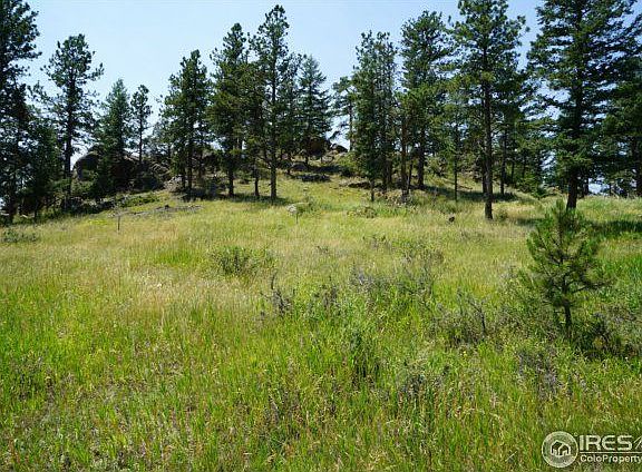2nd image of 79 Horn Peak Dr
