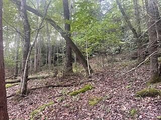 2nd image of Tbd Poga Rd