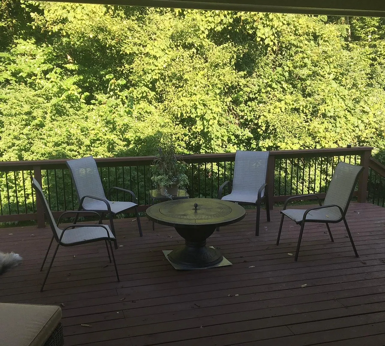 4 bed, 2.5 bath, 3100 sqft, $4,500 — Photo 3