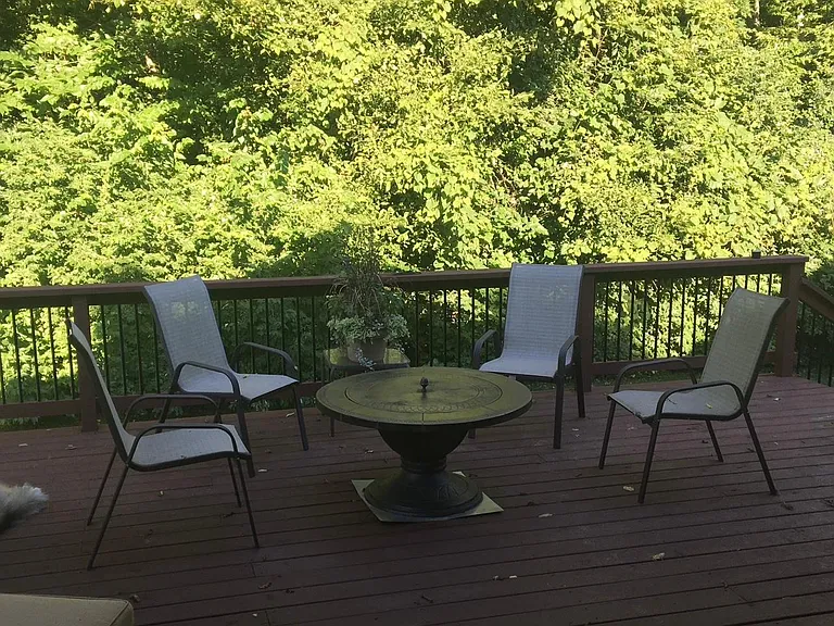 Backyard and patio